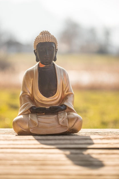 Photo buddha statue in india relaxation balance and spirituality