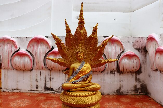 Photo a buddha statue and naga statue at wat pa krok sadao ratchasima provincethailand2019