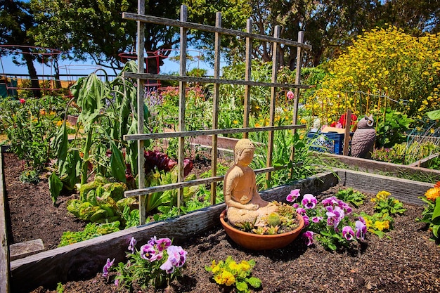 Buddha statue in pot with cacti and succulents inside community garden with variety of flowers