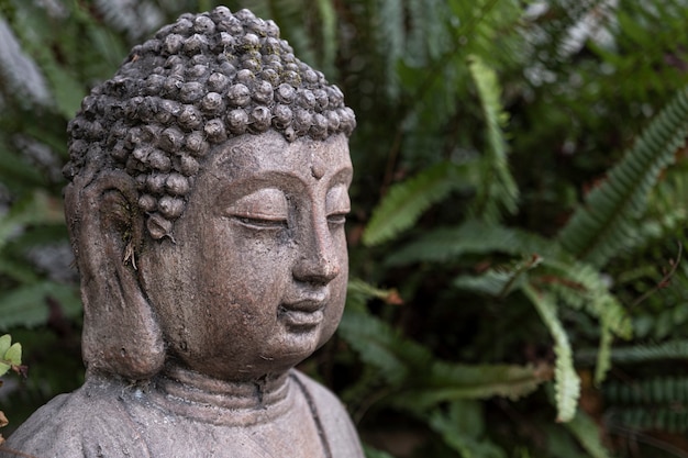 Buddha statue sitting meditating in natural garden background