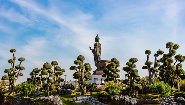 Statua del buddha circondata da alberi