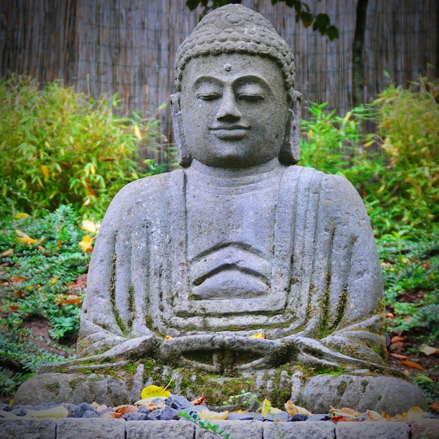 Photo buddha statue in temple