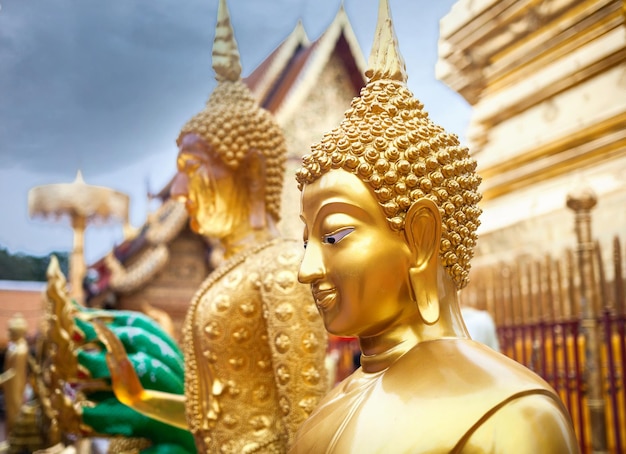 Buddha statue in the Temple