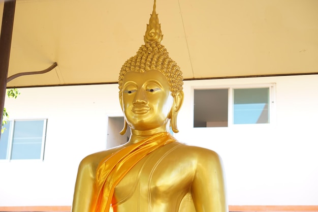 Buddha statue in Thailand temple