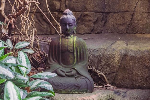 Buddha statue at tropical zoo