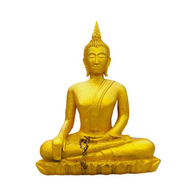 Premium Photo | Buddha statue on a white background