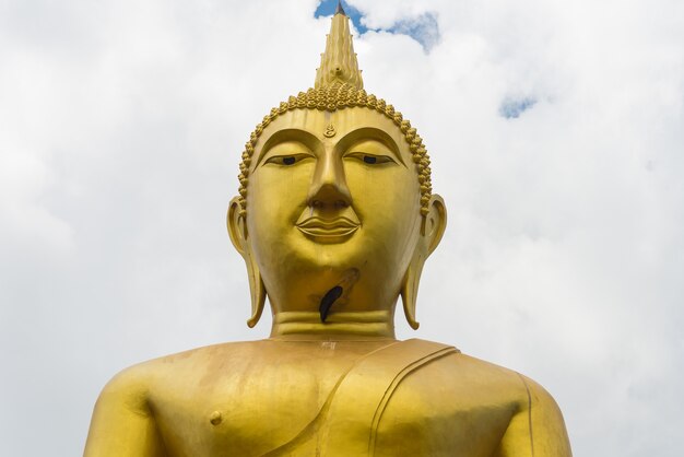 Buddha statue