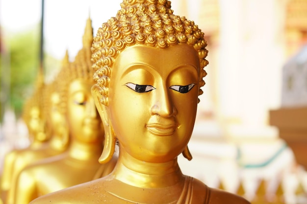Buddha statues are arranged beautifully