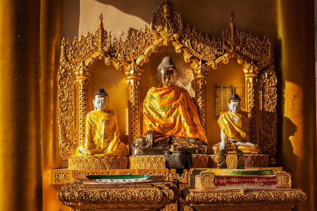 Buddha statues in burma sacred place tourist attraction shwedagon paya pagoda yangon myanmar