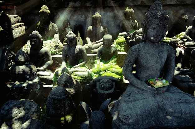 Buddha Statues hidden in leaves of tropical jungle with mist in the morning