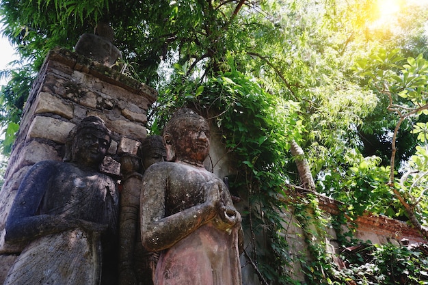 Buddha Statues hidden in leaves of tropical jungle with mist in the morning