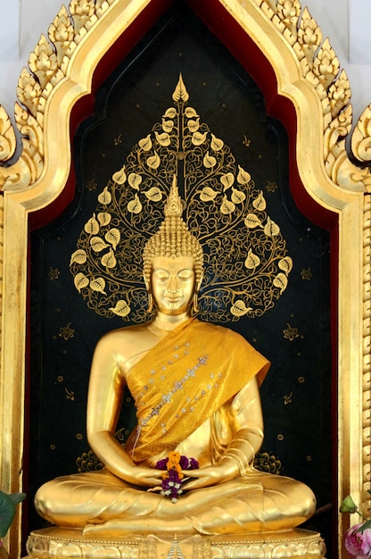 Photo buddha in thailand