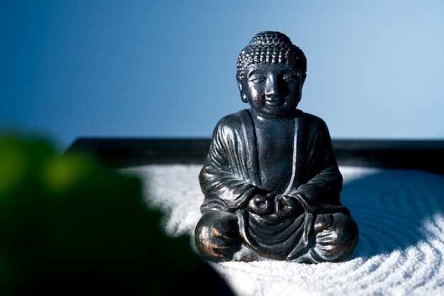 Meditazione zen buddha