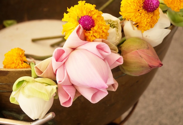 Buddhist Putting Lotuses and Marigold Flowers to Buddha