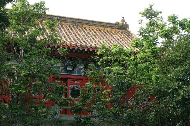 Buddhist temple in Hong Kong