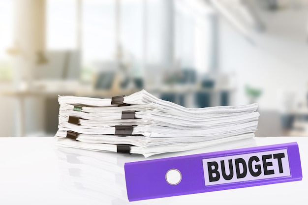 Budget business office con cartelle per ufficio e pile di documenti sulla scrivania