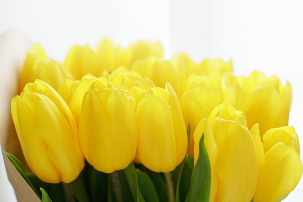 Buds of yellow tulips.