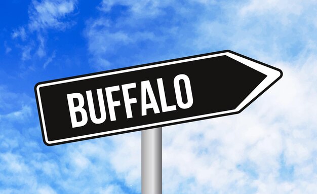 Buffalo road sign on blue sky background