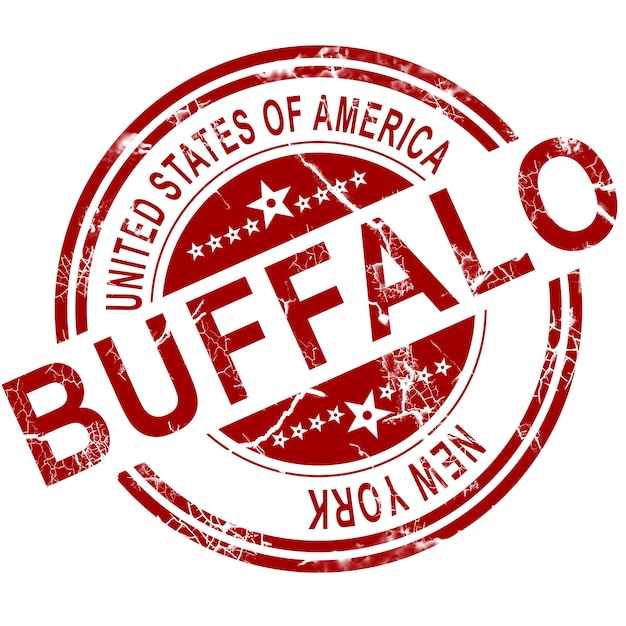 Photo buffalo stamp with white background