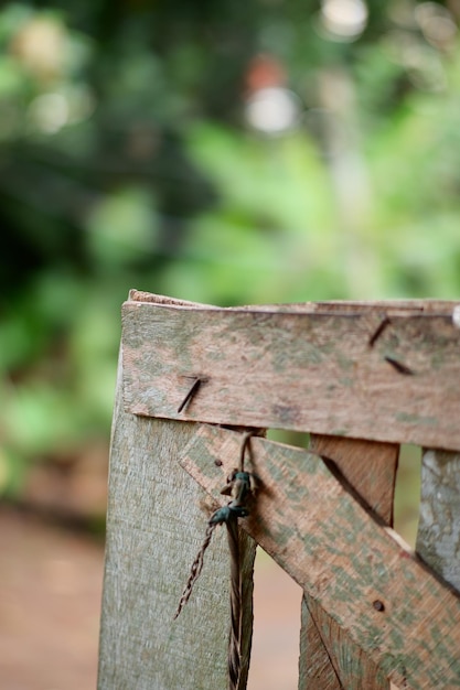 A bug on a chair with a green background