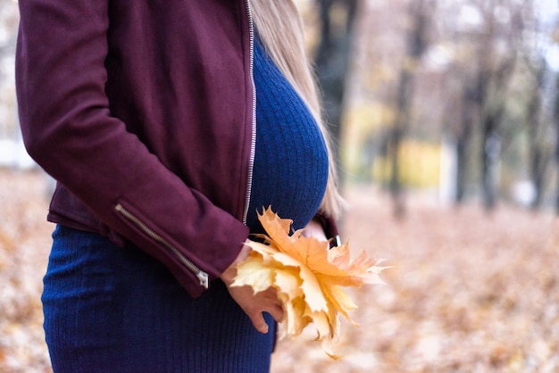 Buik van een zwangere vrouw Achtste maand Boeket van gele bladeren in de handen Herfstpark op de achtergrond