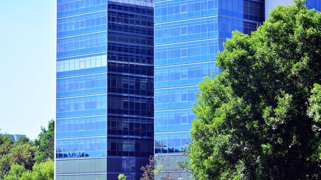 その建物は一番高い建物です。