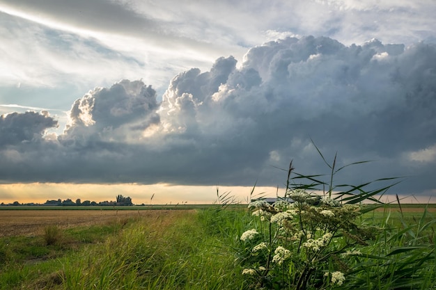 Photo building storm clouds over the countryside