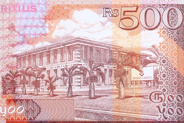 Building of the University of Mauritius in Reduit from money