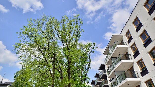 a building with a balcony and a tree with green leaves