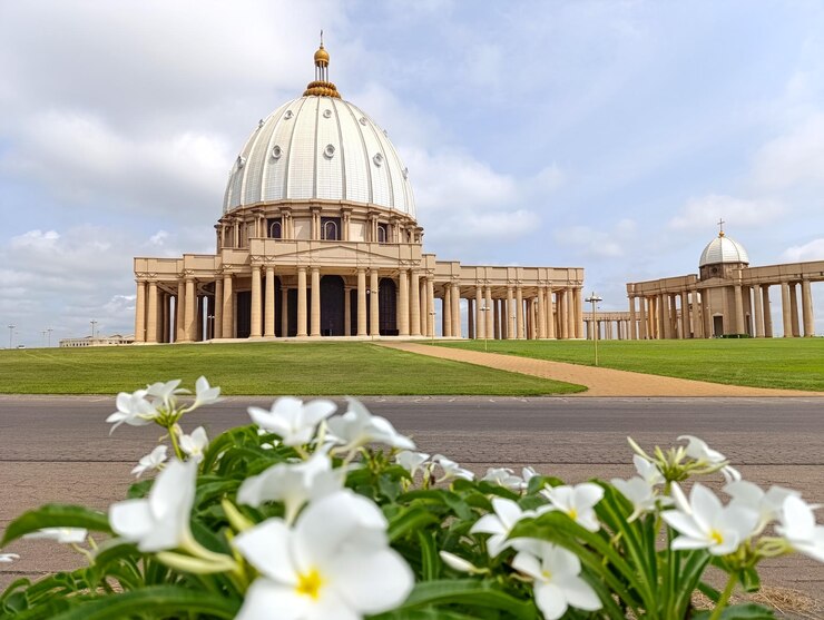 a building with a dome on the top and a flower in the foreground
