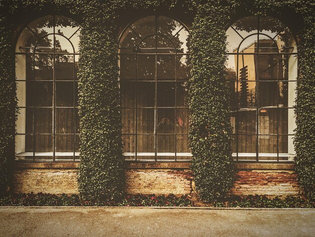 Foto edificio con fiori d'edera e finestre ad arco