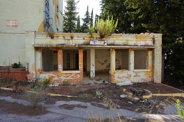 A building with a plant growing on the roof