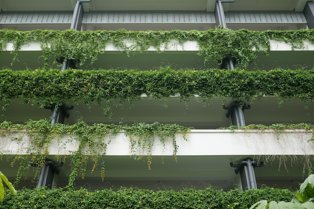 ファサードに植物が生えている建物