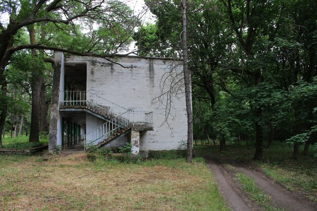 Photo a building with stairs in the woods