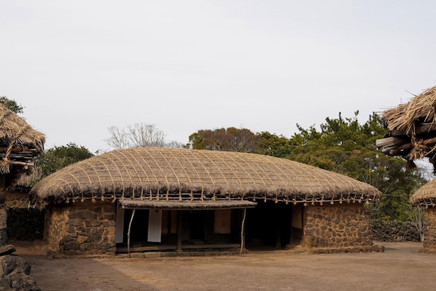 A building with a thatched roof and a wooden door.
