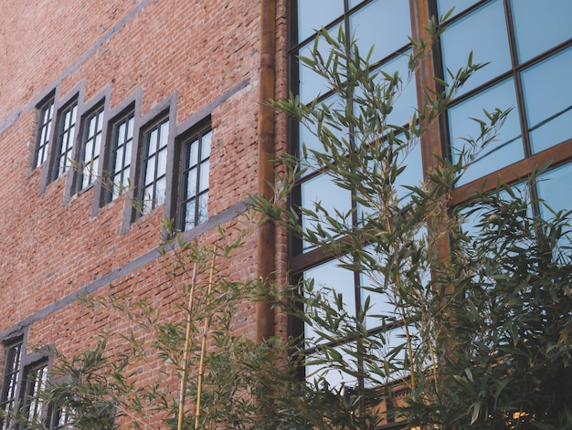 A building with a tree in front of it