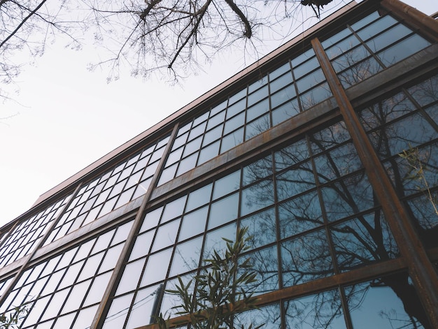 A building with a tree in the front