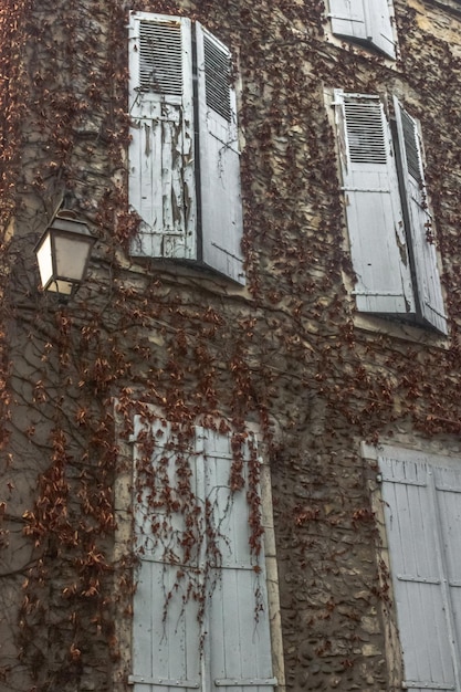 A building with a white door and a window with ivy on it.