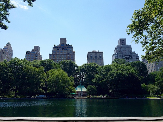 写真 街の空に照らされた公園の建物