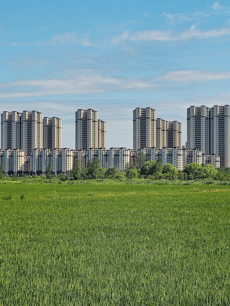 Photo buildings in city against sky