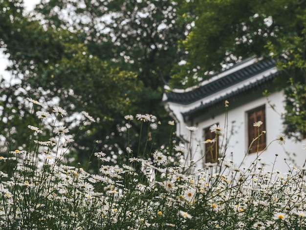 都市内の建物