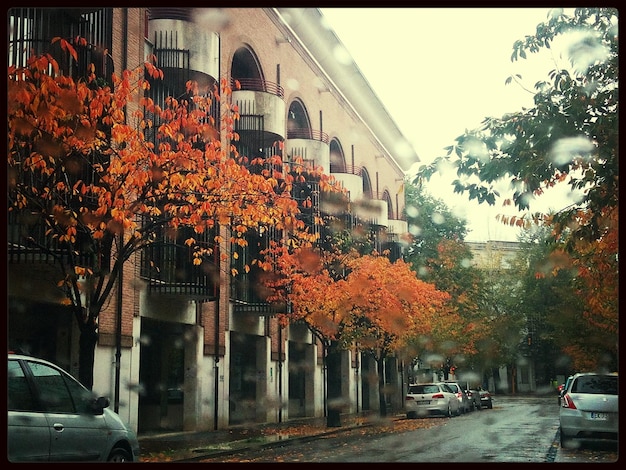 Photo buildings in city