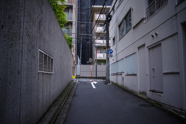 写真 都市内の建物