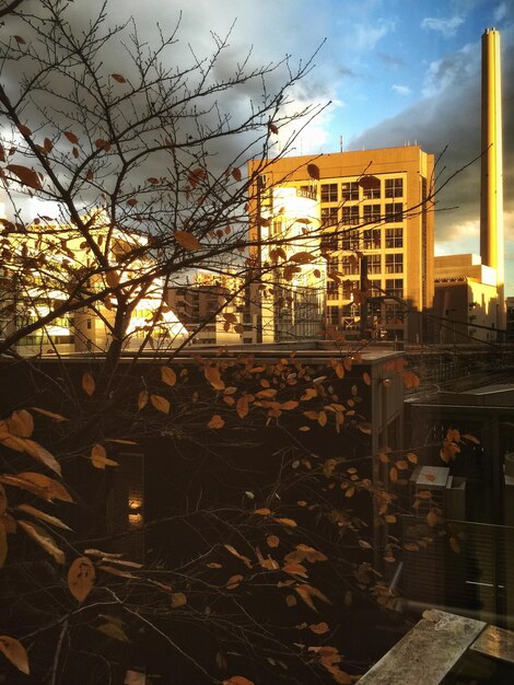 Photo buildings at sunset