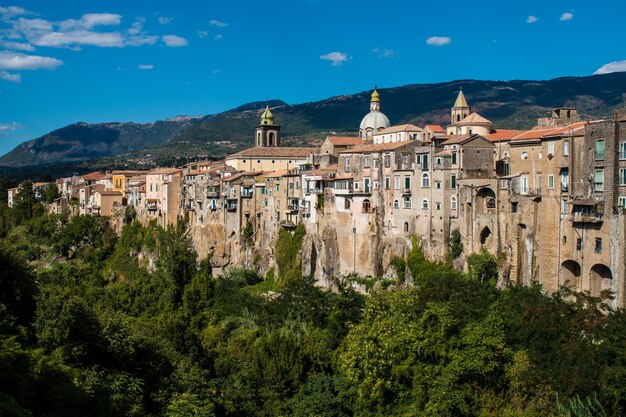 Buildings in a town