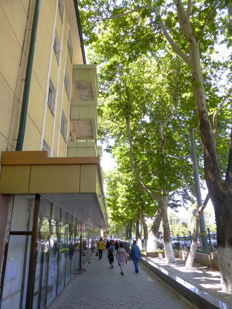 Buildings trees people on the street