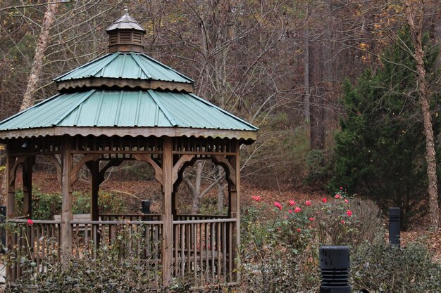 Built structure against trees