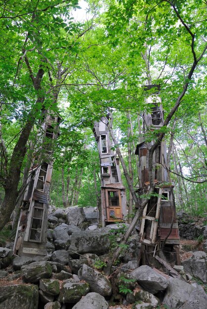 Built structure against trees