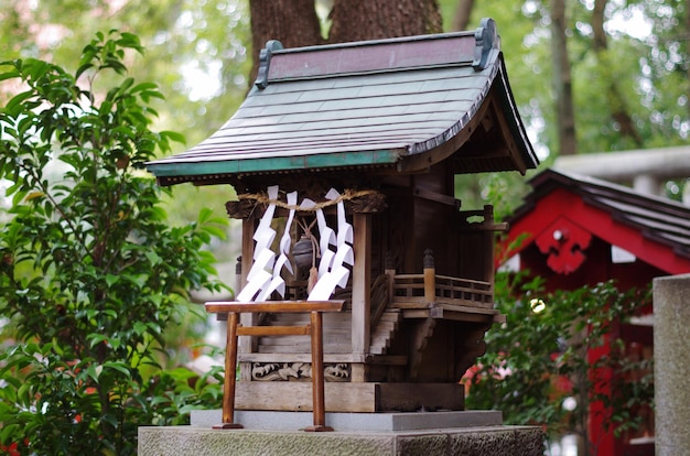 写真 樹木に逆らった構造物