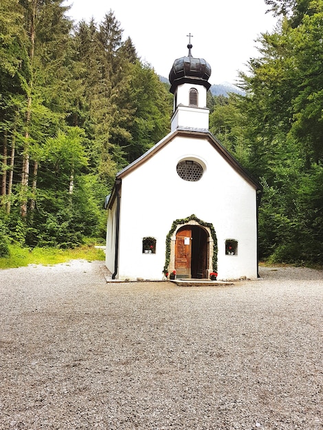 Foto struttura costruita costruendo contro gli alberi